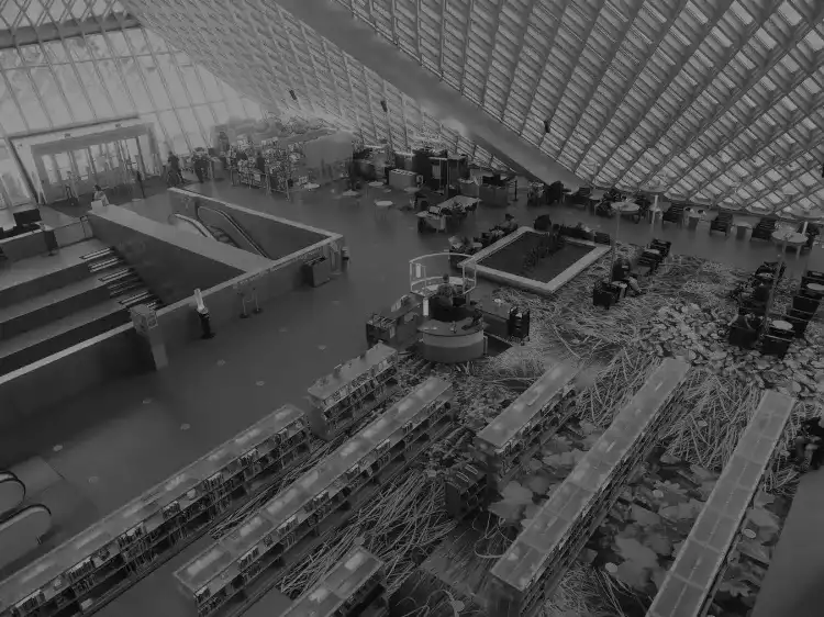 portrait de rem koolhaas